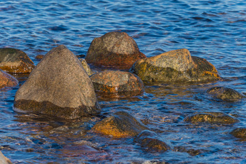 Baltic sea sunny day coast beach outdoor nature