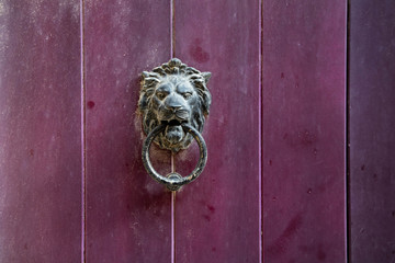 lion knocker on purple wooden door