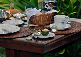 Morning birds breakfast