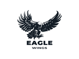 Fototapeta premium Eagle or hawk with outstretched wings. 