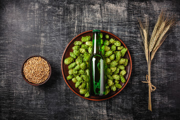 A bottle of beer on a green hop in a plate with grain and spikelets of wheat against the background...