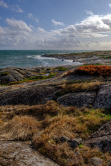 cliffs by the sea with colorful bushes, blue sky with white clouds