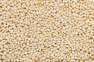 Texture of pine nuts. Pine nuts background. Template of nuts