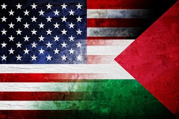 USA and Palestine grunge flag mix