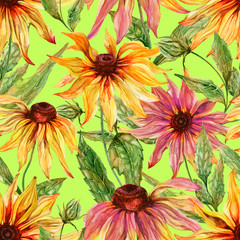 Beautiful echinacea flowers (coneflower) with leaves on green background. Seamless floral pattern.  Watercolor painting. Hand painted botanical illustration.