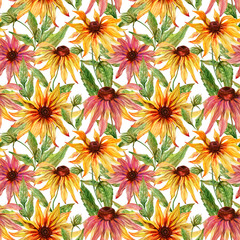 Beautiful echinacea flowers (coneflower) with leaves on white background. Seamless floral pattern.  Watercolor painting. Hand painted botanical illustration.