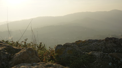 Paisaje melancólico 