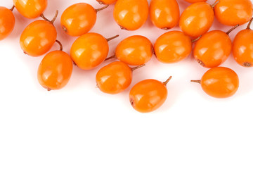 Sea buckthorn. Fresh ripe berry isolated on white background with copy space for your text. Top view. Flat lay pattern