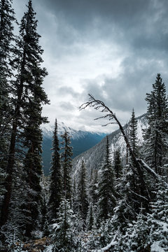 Hiking to the summit of Sulphur Mountain, Banff National Park, Alberta, Canada