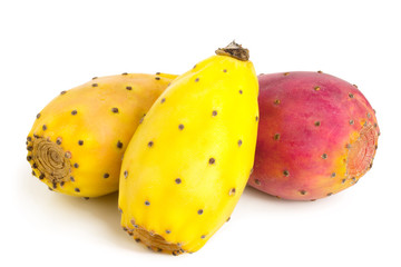 red end yellow prickly pear or opuntia isolated on a white background