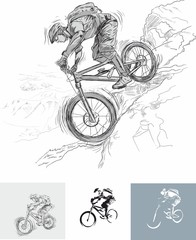 Kolarstwo górskie - zjazd rowerem - obrazy, fototapety, plakaty