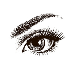 Beautiful female eye hand drawn