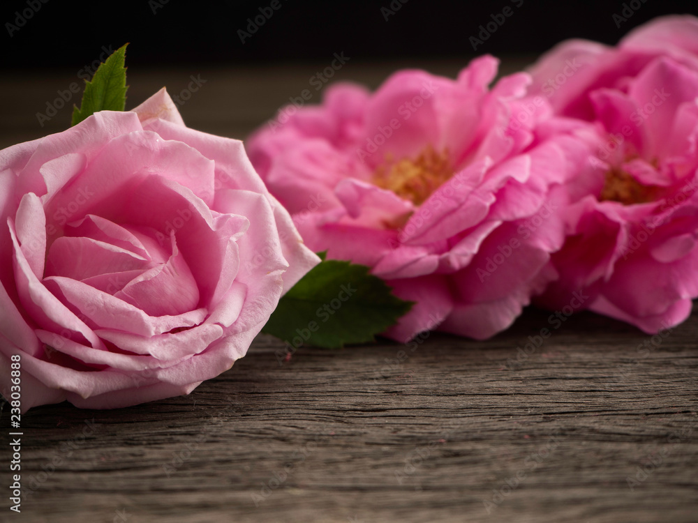 Wall mural pink roses on the old wooden floor.