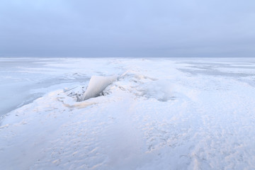 Fototapeta na wymiar ice desert morning cloudy / overcast morning in the early winter landscape