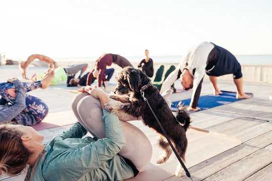 ?oncept of morning yoga with your pet. Little dog is happy to play sports together with the owner, friendship. Yogi girl doing morning exercises on wooden terrace outdoor with her puppy