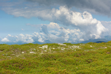Cloudy summer day in the mountains