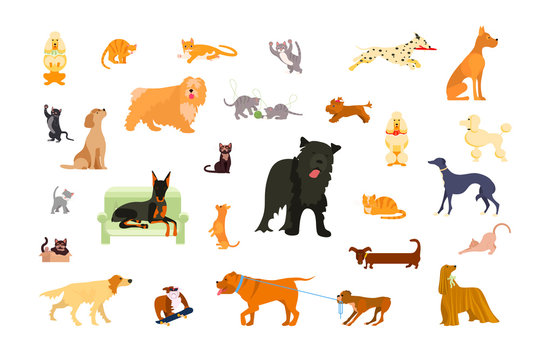 Big set of Cats and dogs