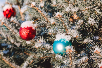 Colorful toys on the christmas tree and snowflakes on the branches and holidays decorations. Red and blue balls with ornaments of stars and glows. Outdoor christmas trees, decorations in garden