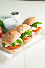 Close-up photo of sandwich, burger with caprese salad with ripe tomatoes, basil, buffalo mozzarella cheese. Italian and Mediterranean food concept. 