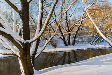 Beautiful winter landscape. River in snowy forest
