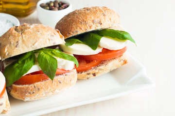 Close-up photo of sandwich, burger with caprese salad with ripe tomatoes, basil, buffalo mozzarella cheese. Italian and Mediterranean food concept. 
