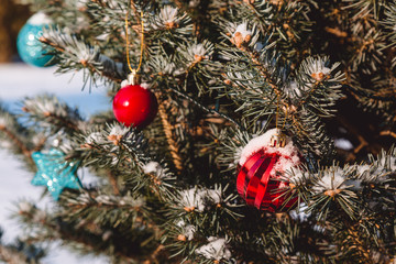 Colorful toys on the christmas tree and snowflakes on the branches and holidays decorations. Red and blue balls with ornaments of stars and glows. Outdoor christmas trees, decorations in garden