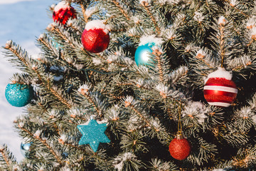 Colorful toys on the christmas tree and snowflakes on the branches and holidays decorations. Red and blue balls with ornaments of stars and glows. Outdoor christmas trees, decorations in garden