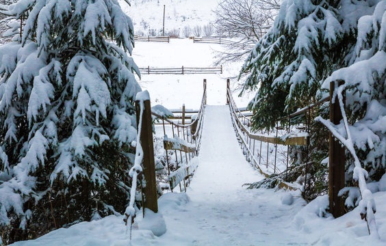 Fototapeta old suspension bridge across river, winter fir forest in snow