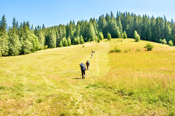 Fototapeta na wymiar Group of walking hiking people with backpacks at mountains with forest