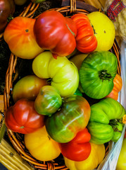 organic tomatoes in the basket