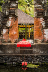 The Tirta Empul Umbrella