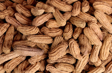 Peanut  for use background
