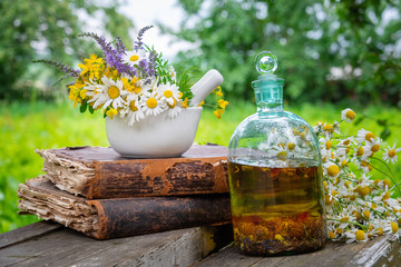 Mortar of  healing herbs, bottle of healthy essential oil or infusion, old books and bunch of chamomile plant. Herbal medicine. - obrazy, fototapety, plakaty
