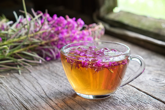 Fireweed healthy herbal tea. Mug of chamerion tea and bunch of medicinal herbs on background inside the retro village house.