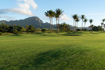 Haupu Mountain dominate the view over a golf course with palm trees and grass in the foreground,...