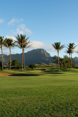 Haupu Mountain dominate the view over a golf course with palm trees and grass in the foreground, Poipu, Kauai, Hawai'i