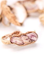 Peanut  for use background
