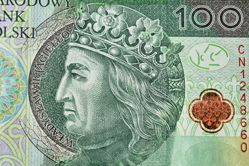 Modern Polish paper money.