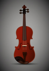 Fototapeta na wymiar violine isolated, detailed realistic violine isolated,
