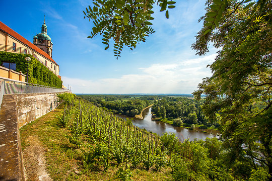 Vineyard in front of the castle Měln&iacute;k Bohemia Czech Republic