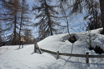 Fototapeta premium Skimountaineering in Val di Sole. Bolentina 