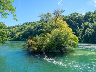 Schnelle Strömung des Rheins stromaufwärts der Rheinfall