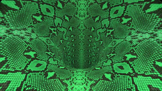 snakeskin wormhole funnel tunnel flight seamless loop animation background new quality vintage style cool nice beautiful 4k stock video footage