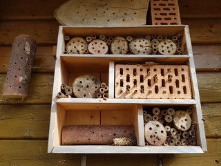 Insektenhotel