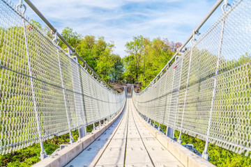 Obraz premium the Geierlay suspension bridge