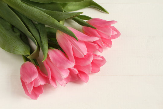 Pink tulip flowers on white painted wooden table