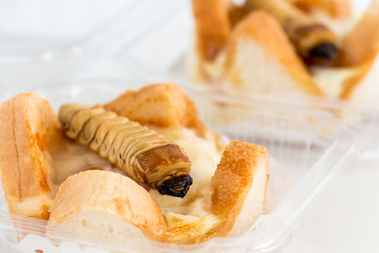 Food Insects: Worm beetle for deep-fried as food items in bread homemade made of fried insect meat in package it is good source of protein which edible and delicious. Future food, entomophagy concept.