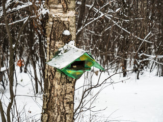 Winter bird feeder