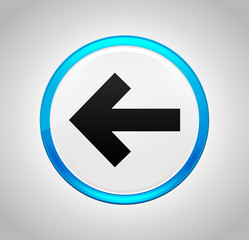 Back arrow icon round blue push button
