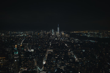 The New York City Skyline at night